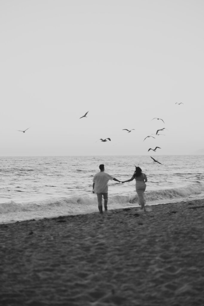 malibu cinematic engagement photos