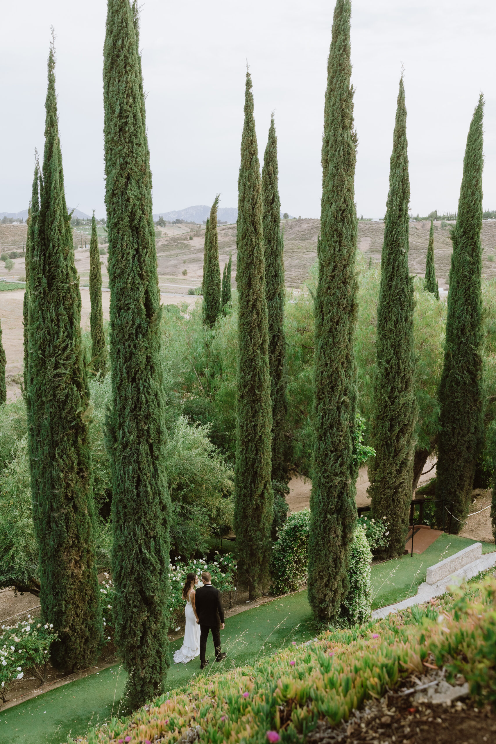 falkner winery wedding