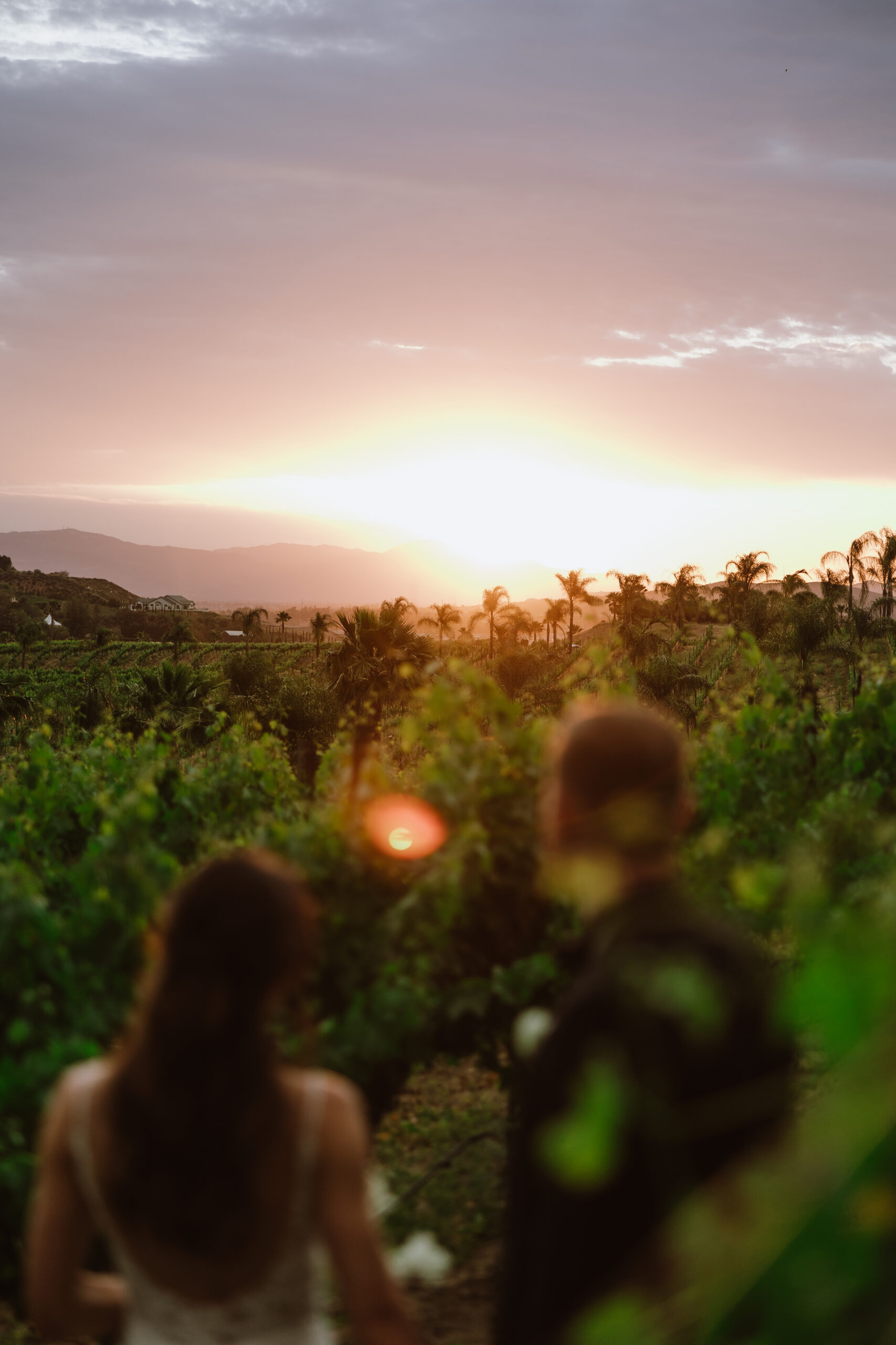 falkner winery wedding